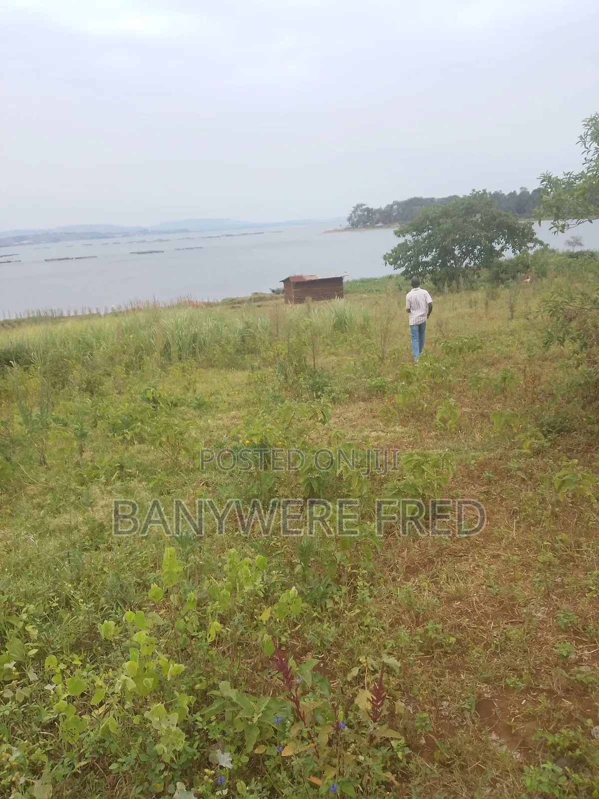 1.5 Acres of Land for Sale