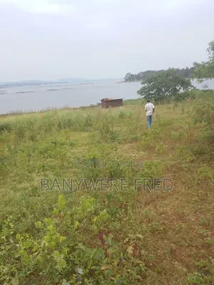 1.5 Acres of Land for Sale