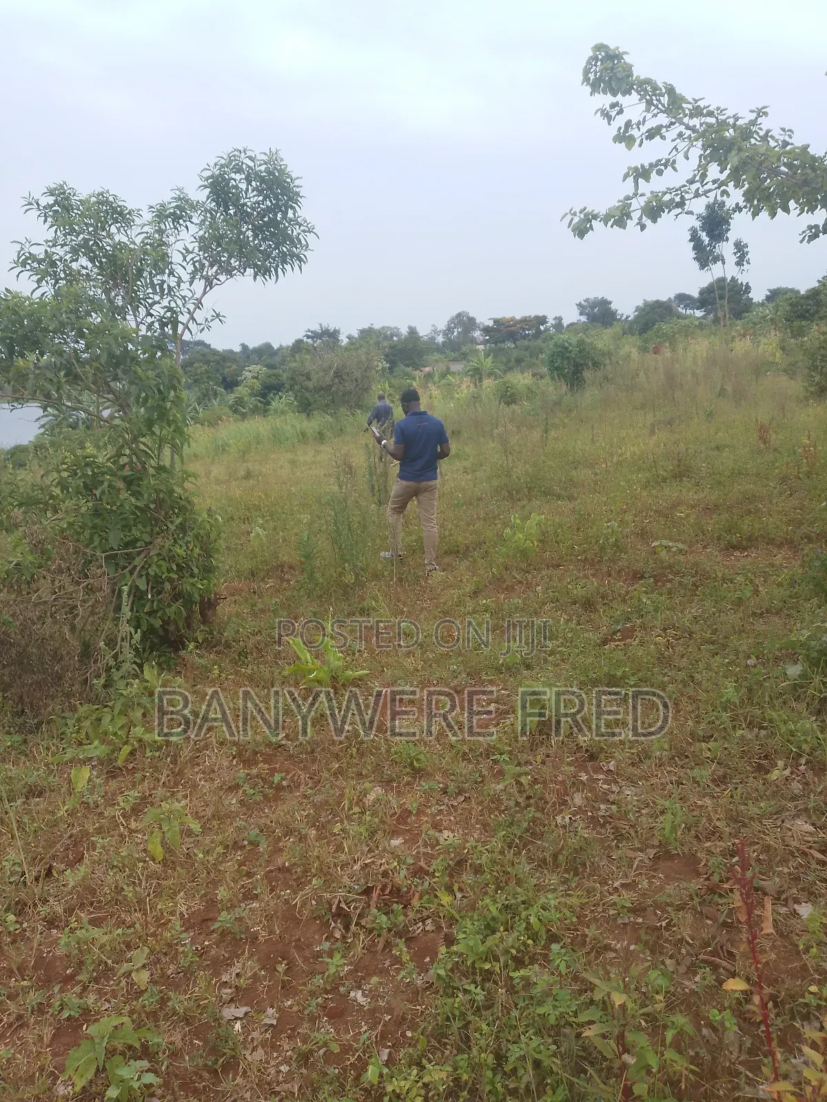 1.5 Acres of Land for Sale