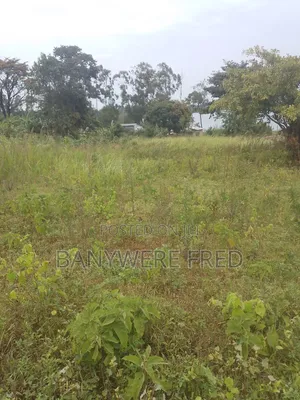 60 Acres of Farmland for Sale
