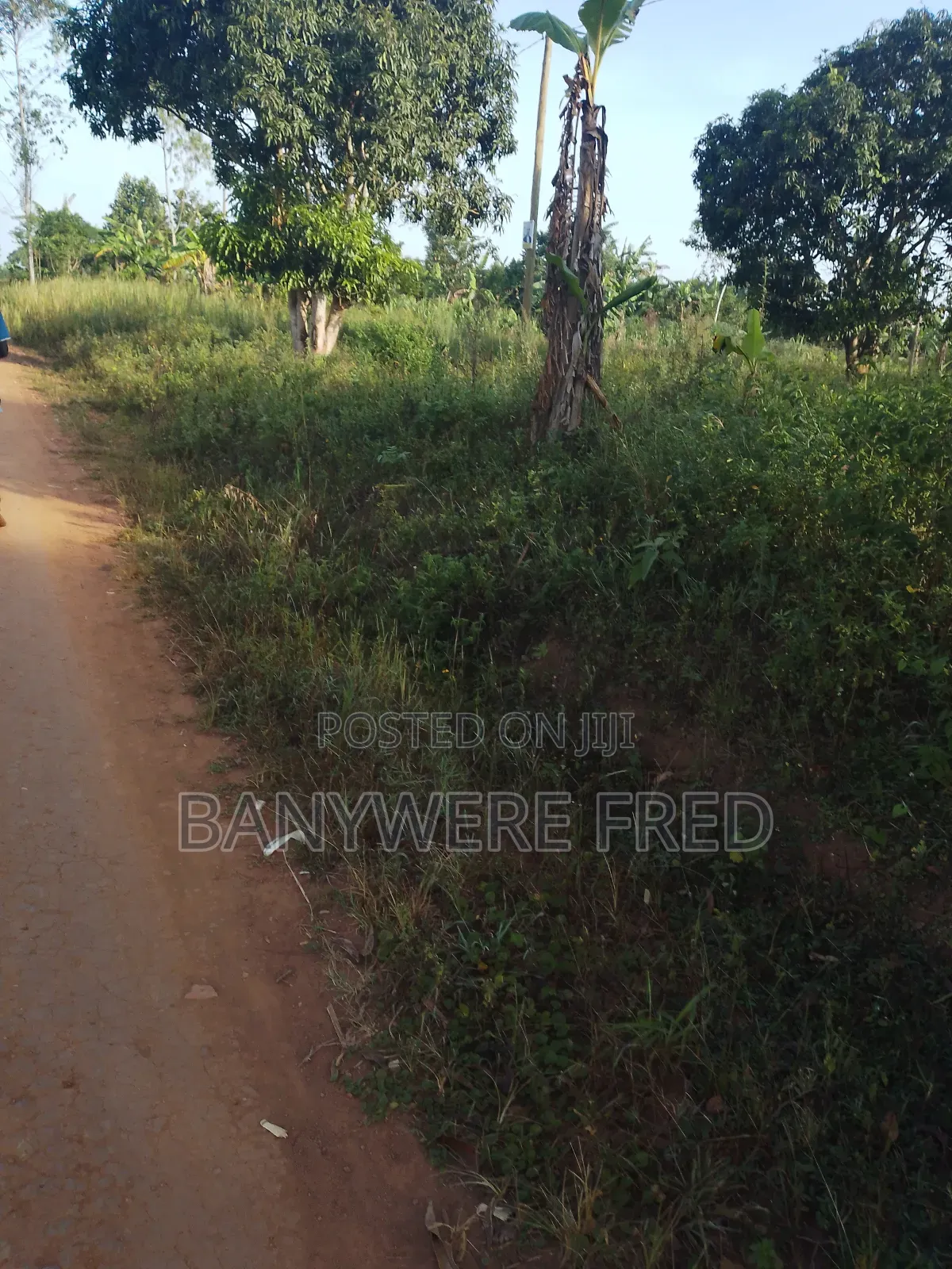 60 Acres of Farmland for Sale