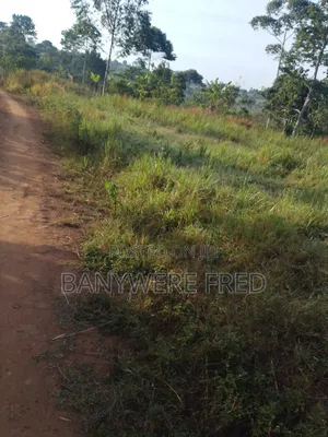 60 Acres of Farmland for Sale