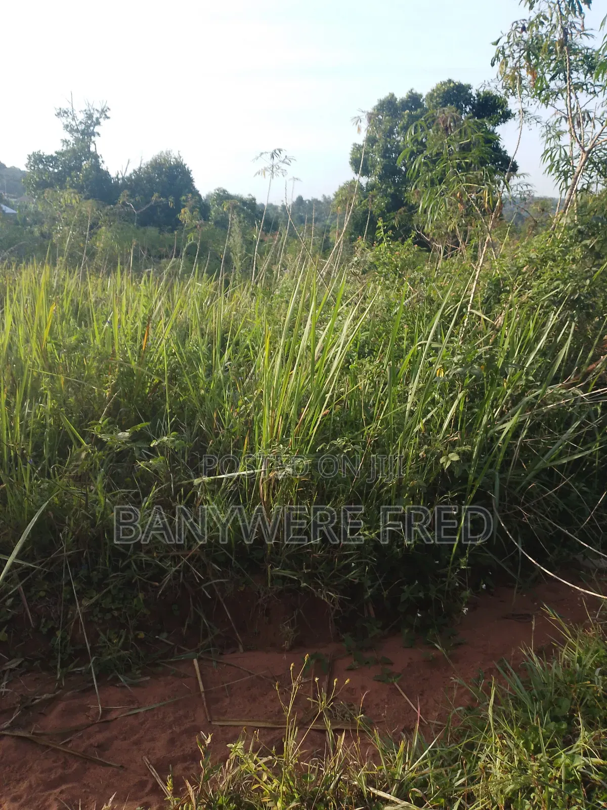 5acres of Land for Sale in Lukasa