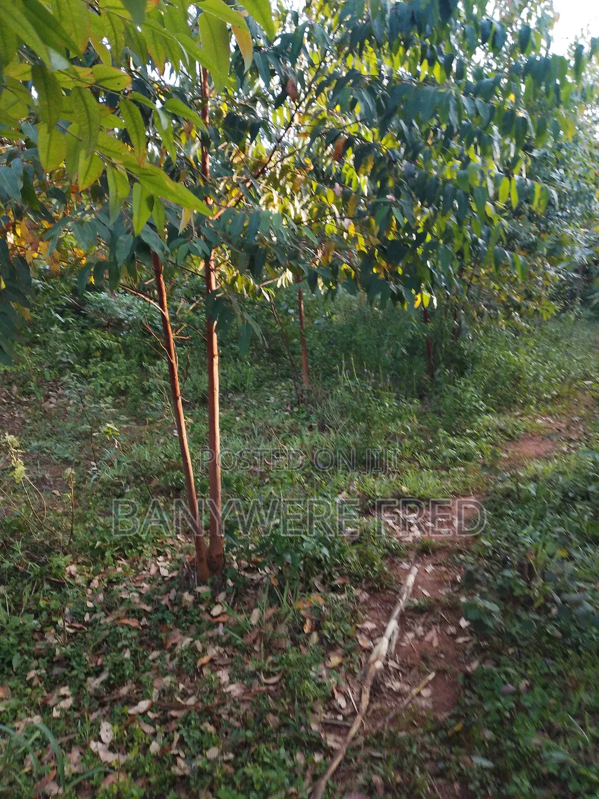 60acres of Industrial Land for Sale