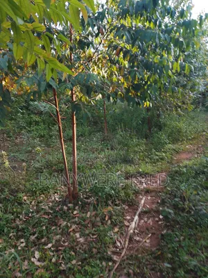 60acres of Industrial Land for Sale
