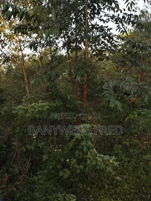 60acres of Industrial Land for Sale
