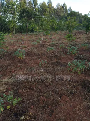50/100 Plot for Sale in Kiwango