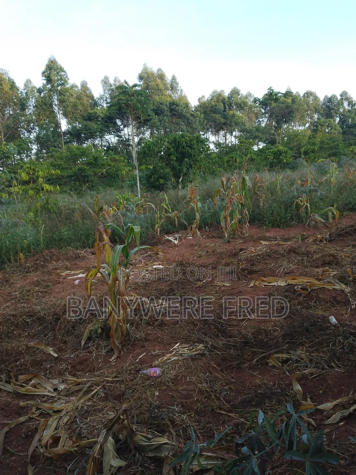 5acres of Land for Sale in Ngogwe