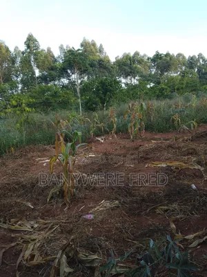 5acres of Land for Sale in Ngogwe