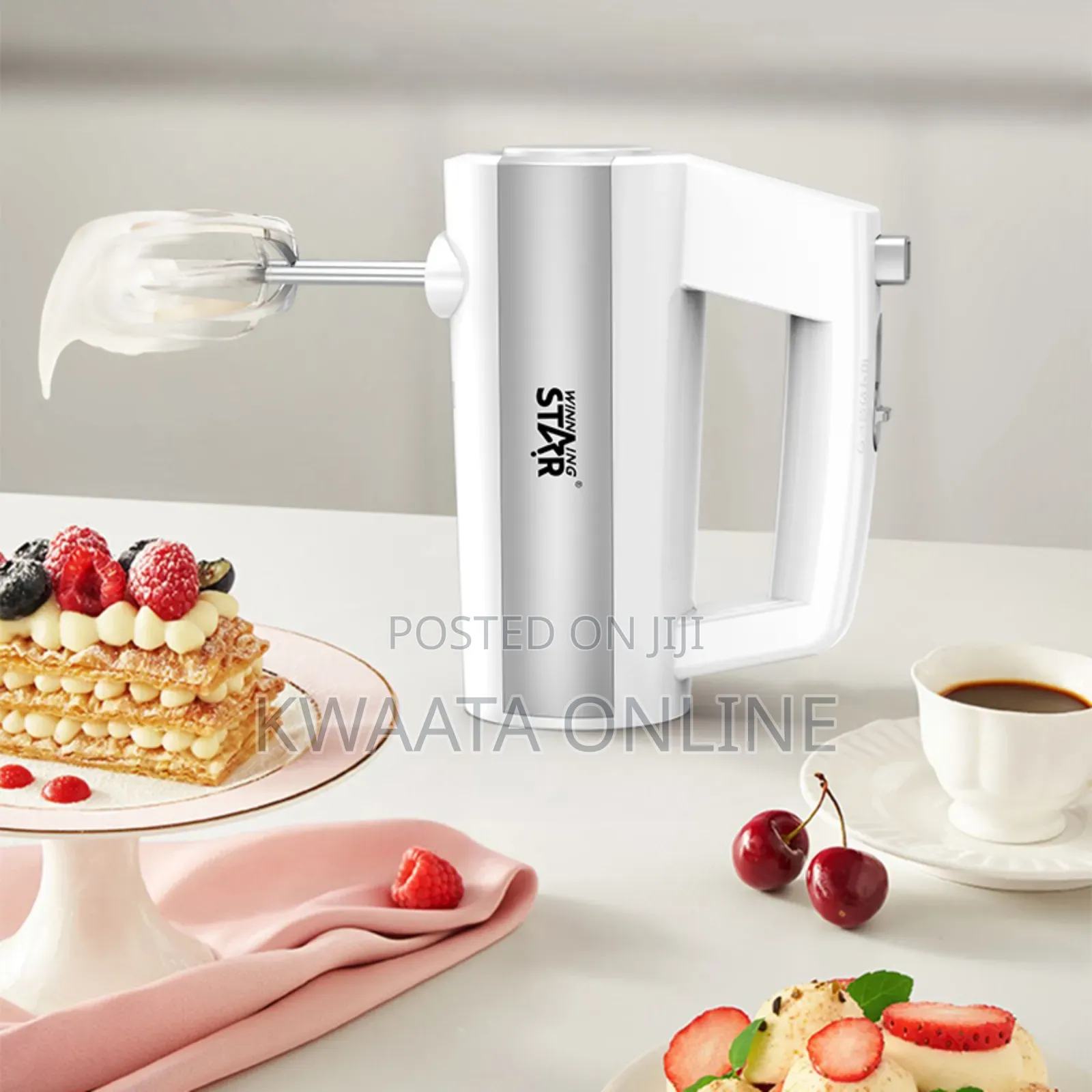 Winning Star St-5533 Multipurpose Whisk Mini Electric Hand Mixer