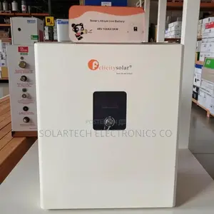 Felicity 48v Small Capacity Lithium Battery-Back Up Battery