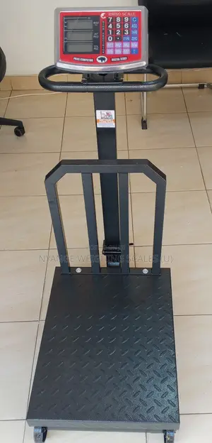 Digital Industrial Weighing Scales Accurate 500kg Weighing Scale