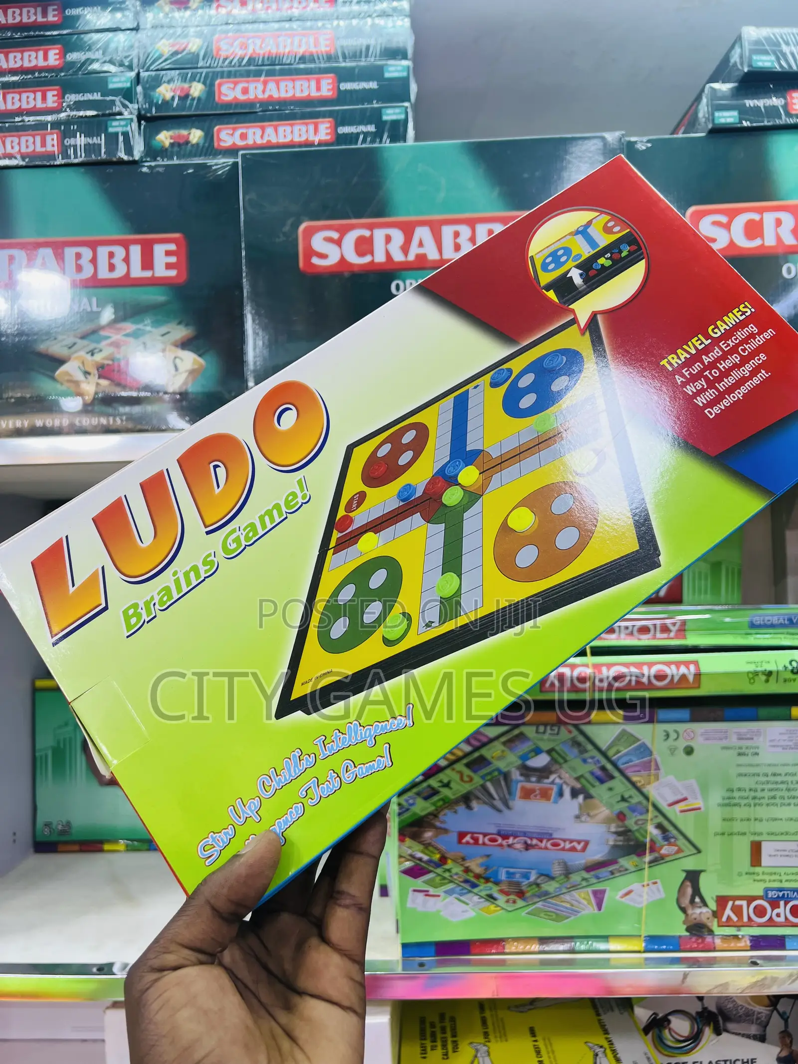 Ludo Board Game