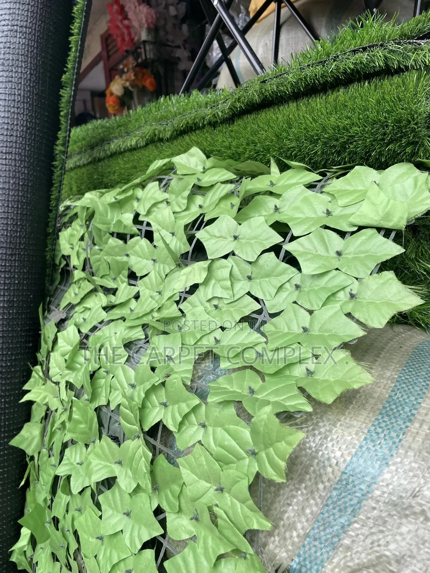 Balcony Wall Plants Each Pieces