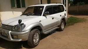 Vip Car Hires With a Driver