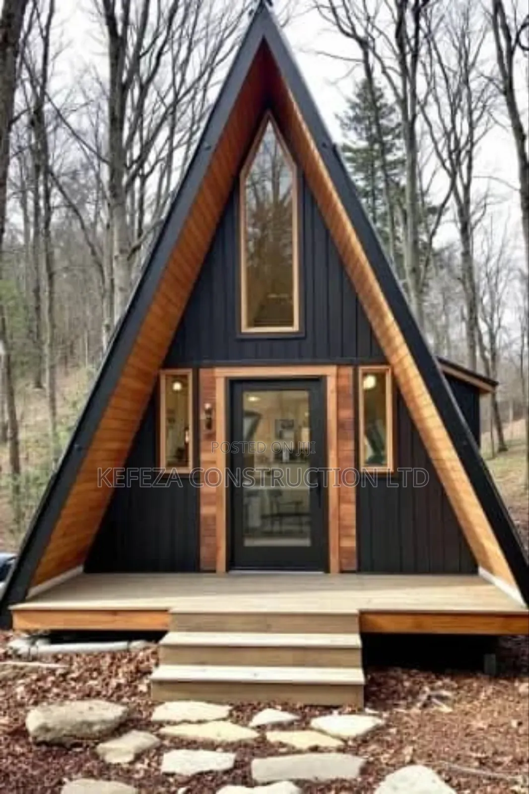 Triangle Shaped Cottage House