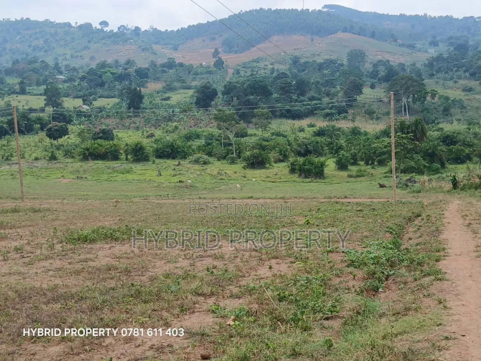 Prime Plots for Sale at Nampunge~Gobero Kakiri Divine Estate~Hoima Rd.