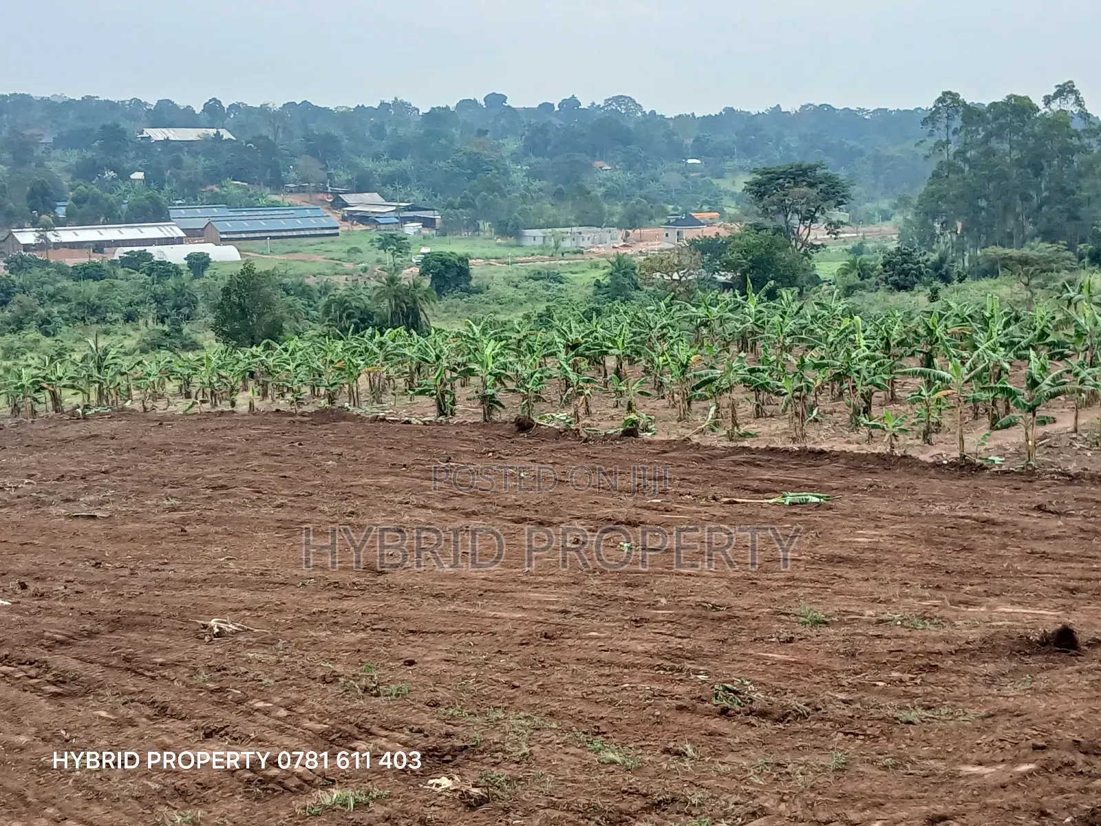 Prime Plots For Sale At Kakiri~Nampunge Town Tarmac View Modern Estate