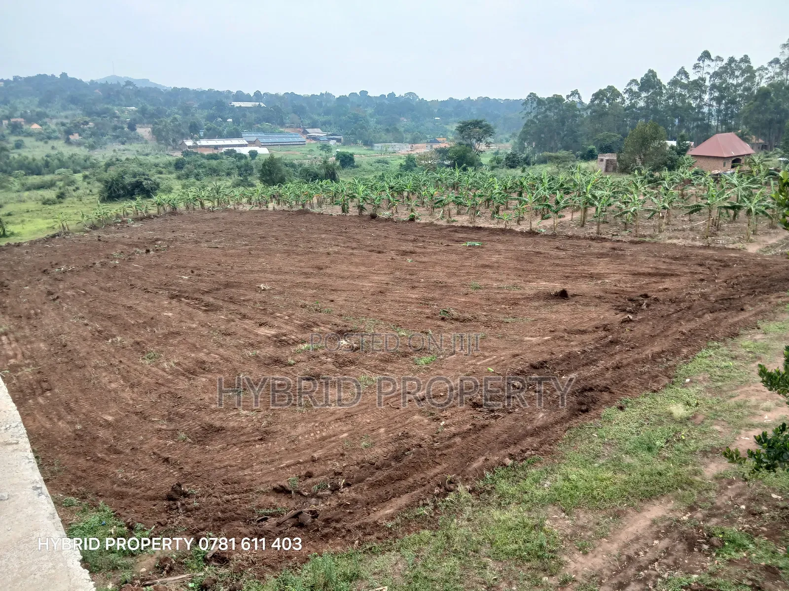 Prime Plots For Sale At Kakiri~Nampunge Town Tarmac View Modern Estate