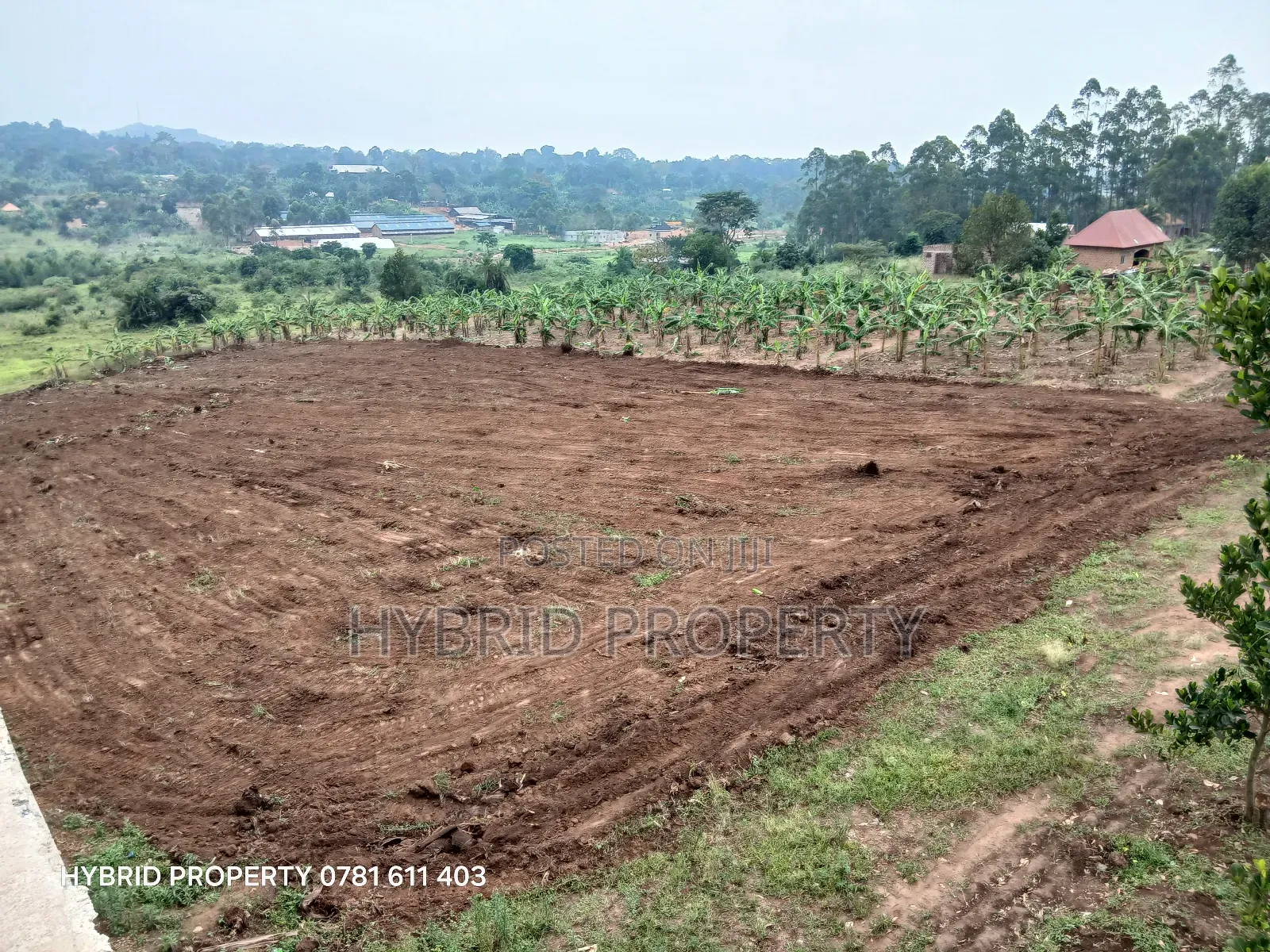 Prime Plots For Sale At Kakiri~Nampunge Town Tarmac View Modern Estate