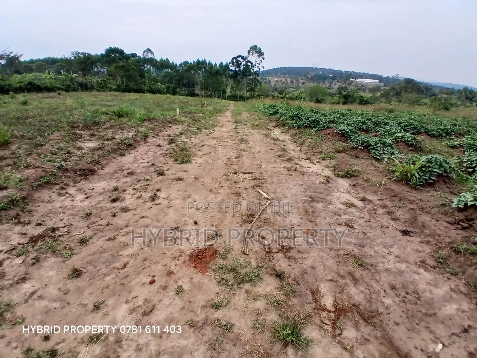 Prime Plots For Sale At Namayumba~Kyampisi Kulya Show Estate~Hoima Rd.