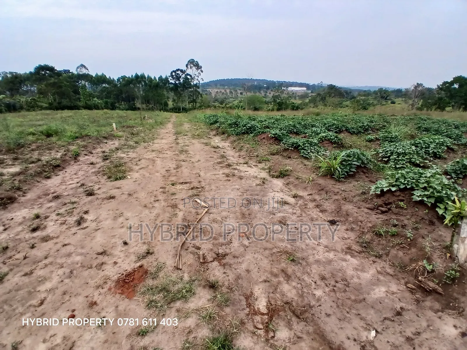 Prime Plots For Sale At Namayumba~Kyampisi Kulya Show Estate~Hoima Rd.