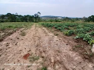 Prime Plots For Sale At Namayumba~Kyampisi Kulya Show Estate~Hoima Rd.