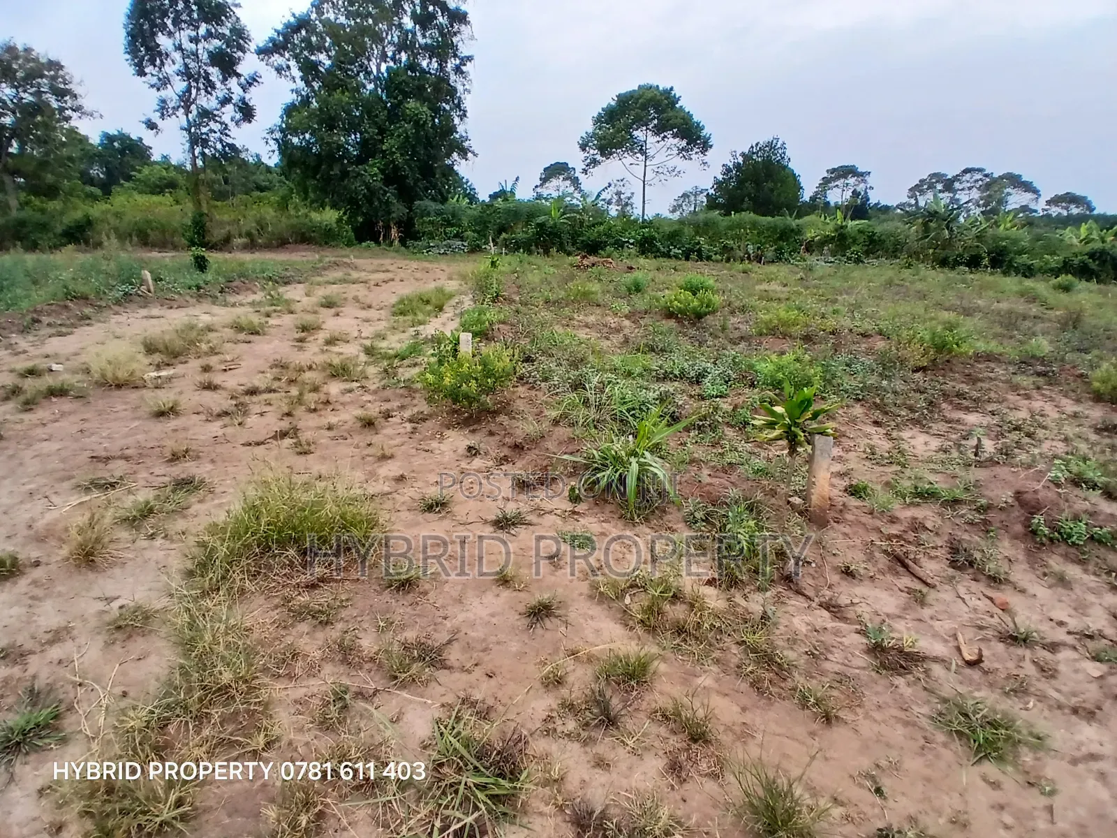 Prime Plots For Sale At Namayumba~Kyampisi Kulya Show Estate~Hoima Rd.