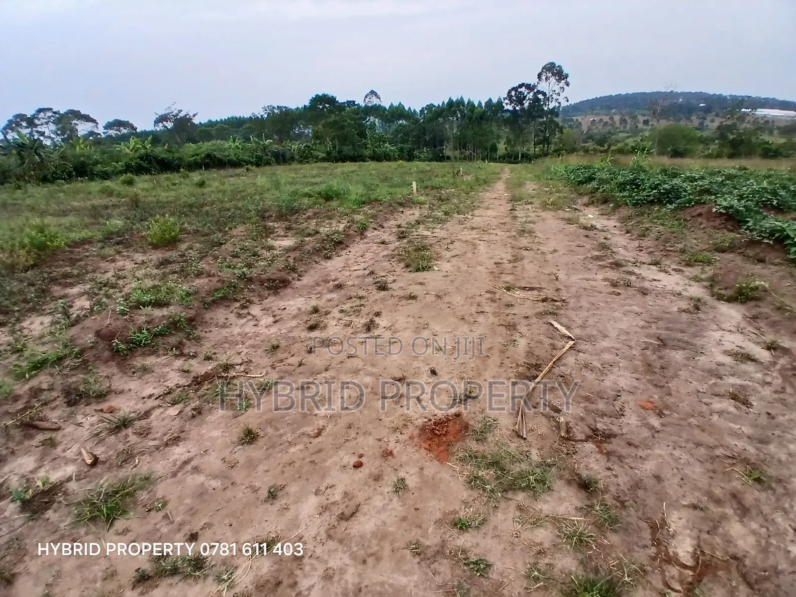 Prime Plots For Sale At Namayumba~Kyampisi Kulya Show Estate~Hoima Rd.