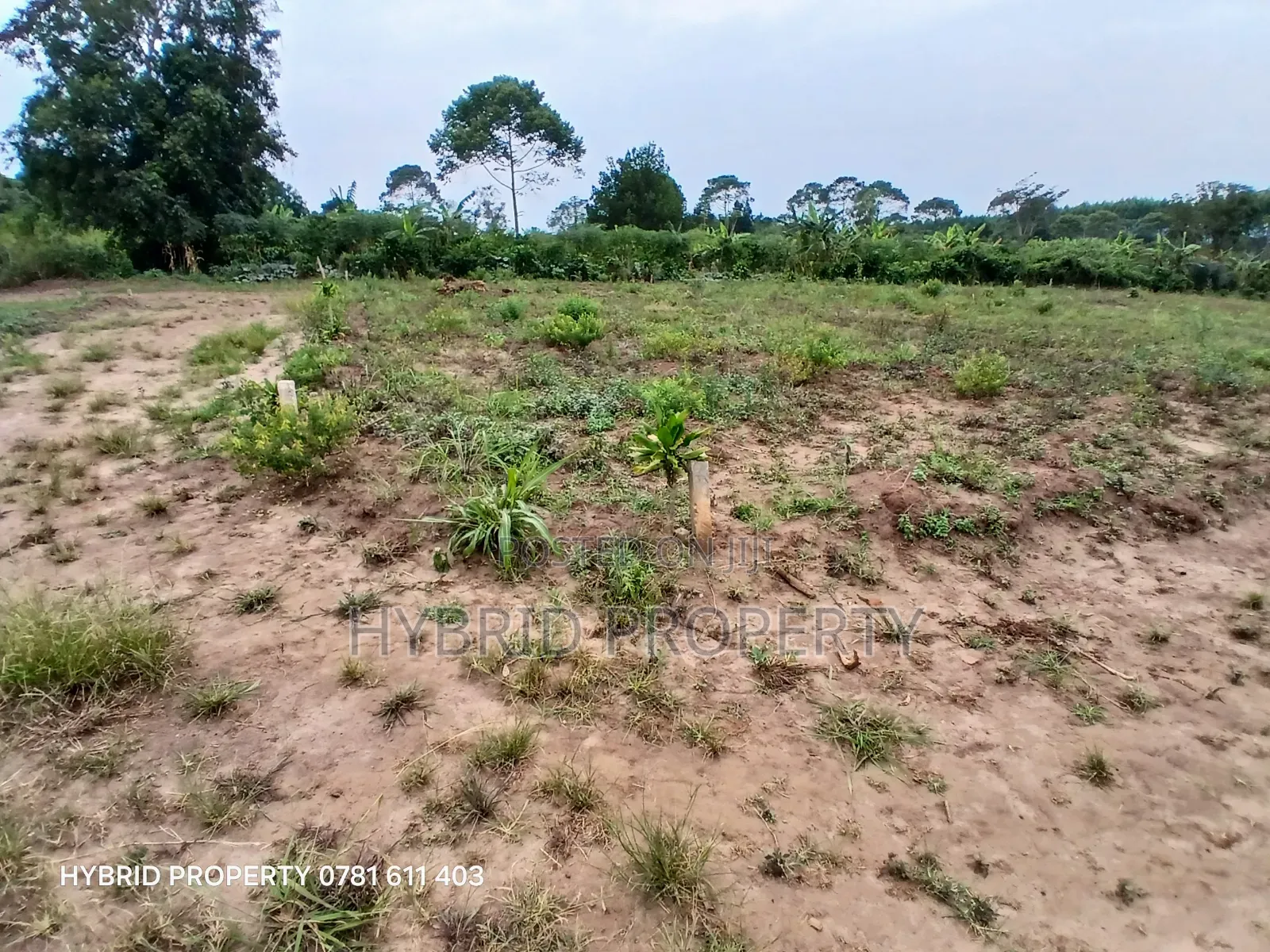 Prime Plots For Sale At Namayumba~Kyampisi Kulya Show Estate~Hoima Rd.