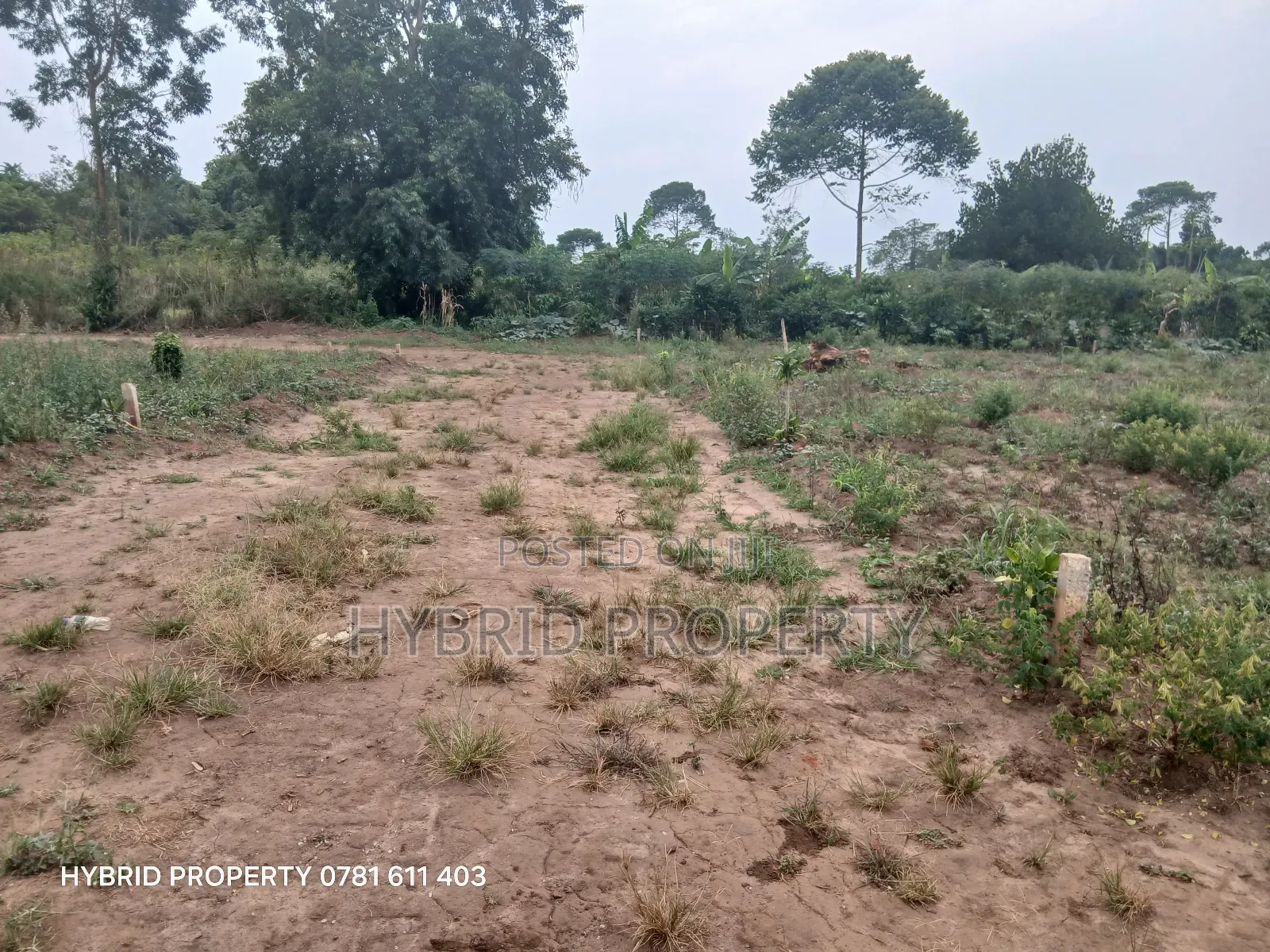 Prime Plots For Sale At Namayumba~Kyampisi Kulya Show Estate~Hoima Rd.
