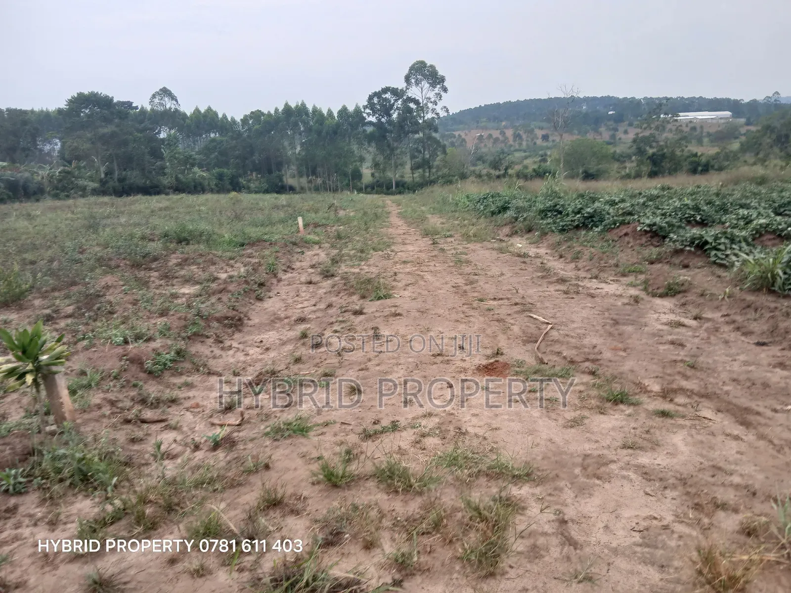 Prime Plots For Sale At Namayumba~Kyampisi Kulya Show Estate~Hoima Rd.