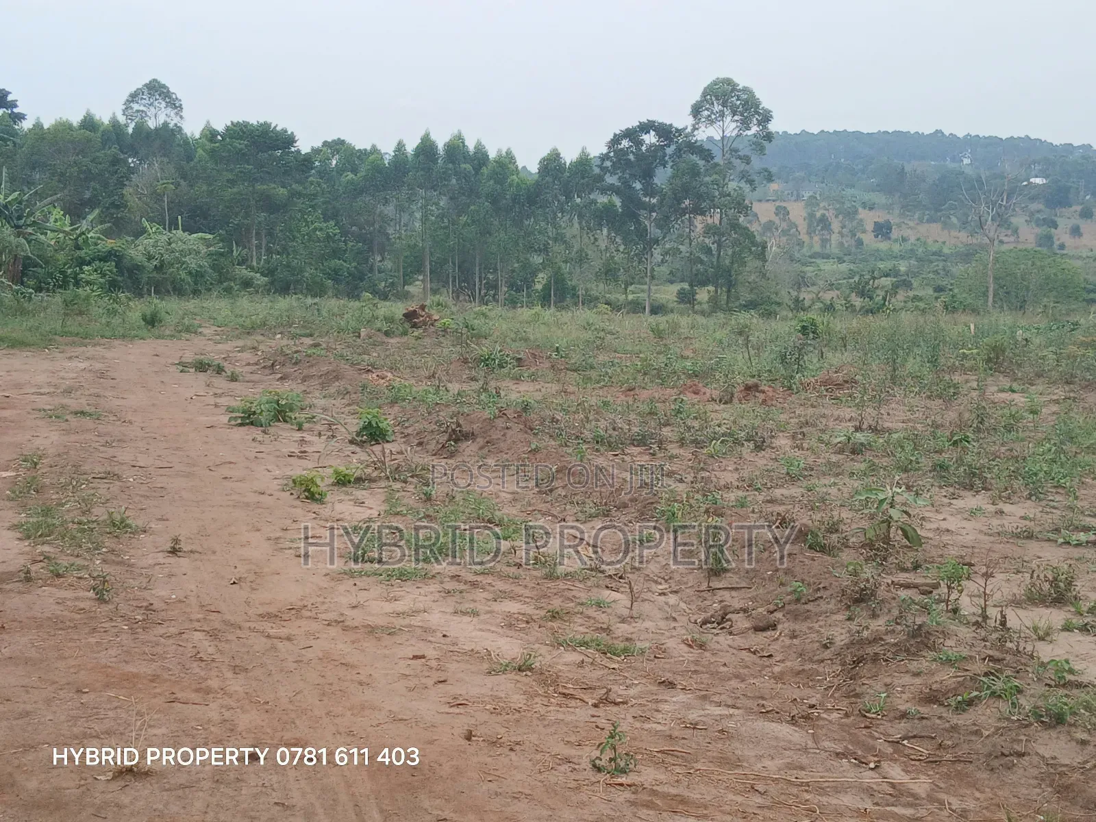 Prime Plots For Sale At Namayumba~Kyampisi Kulya Show Estate~Hoima Rd.