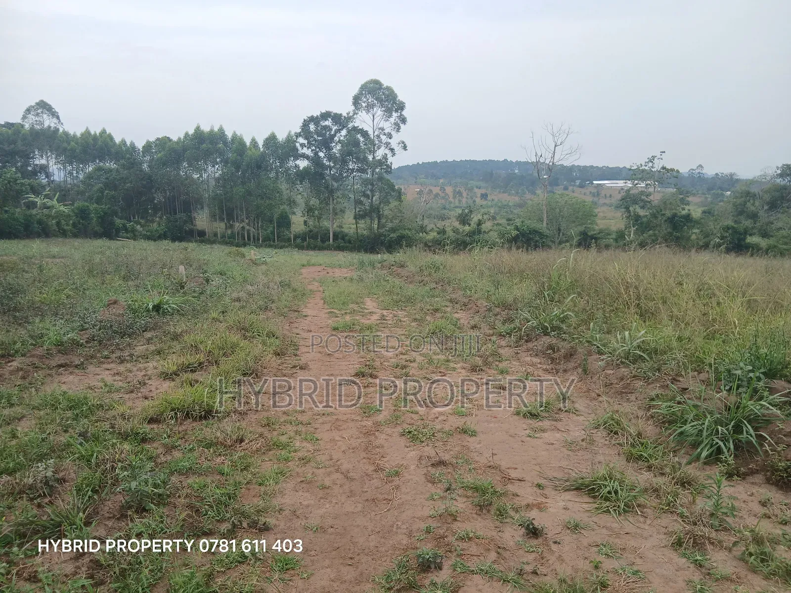 Prime Plots For Sale At Namayumba~Kyampisi Kulya Show Estate~Hoima Rd.