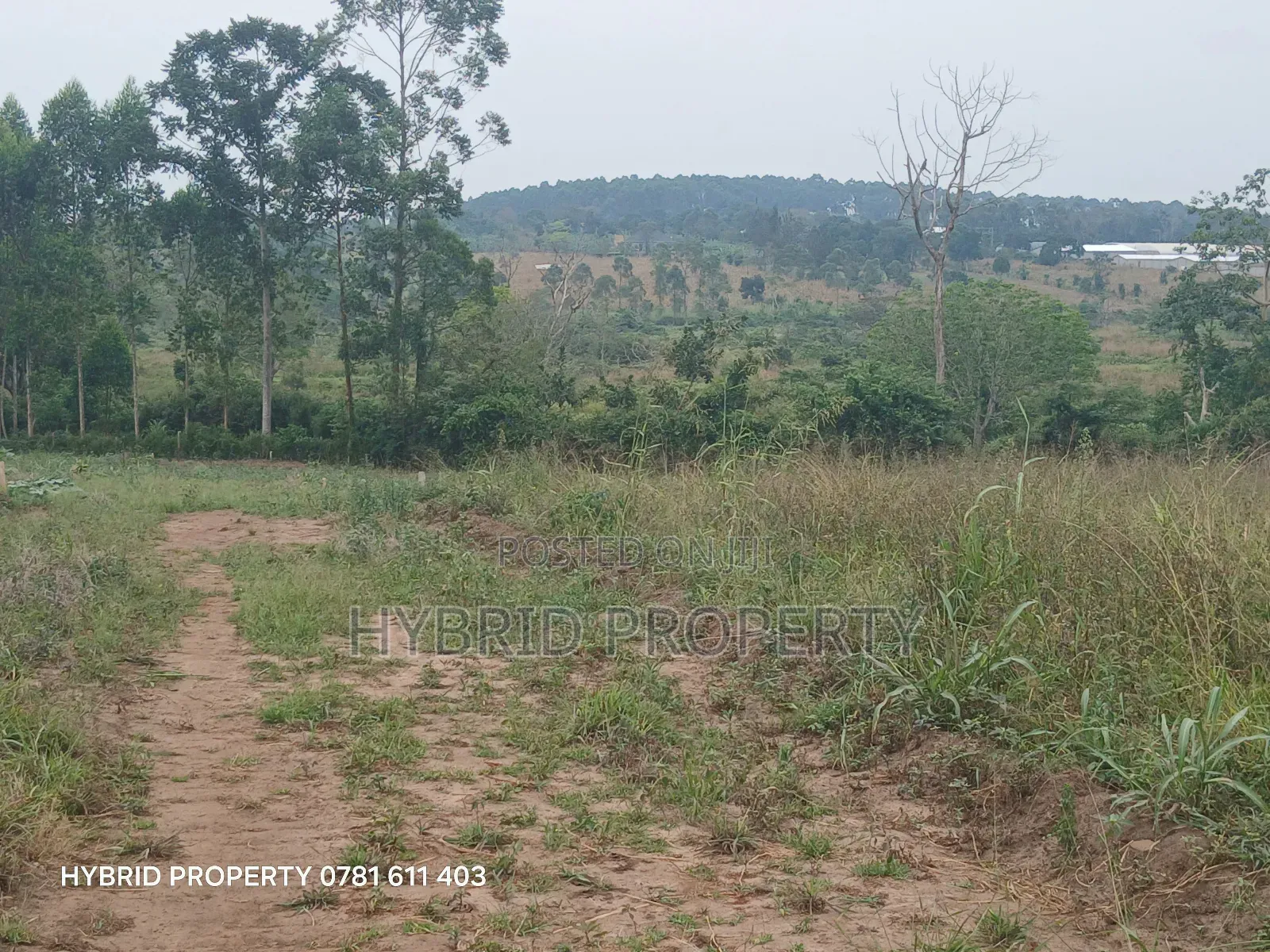 Prime Plots For Sale At Namayumba~Kyampisi Kulya Show Estate~Hoima Rd.