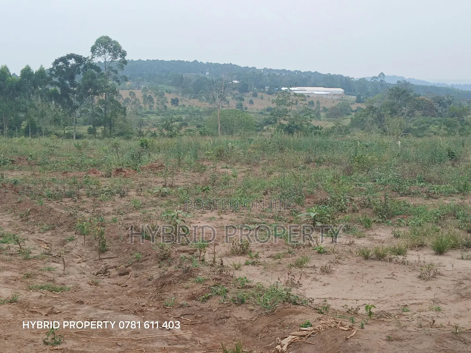 Prime Plots For Sale At Namayumba~Kyampisi Kulya Show Estate~Hoima Rd.