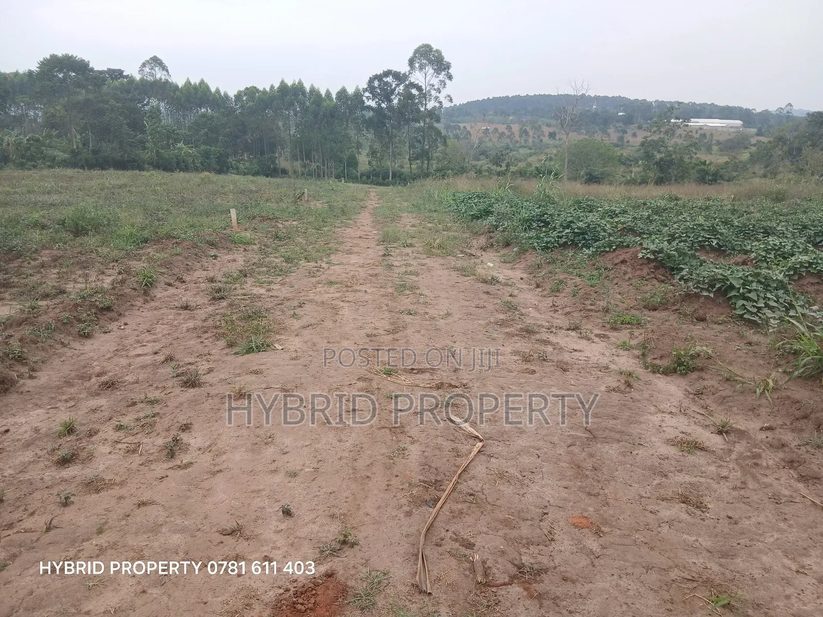 Prime Plots For Sale At Namayumba~Kyampisi Kulya Show Estate~Hoima Rd.