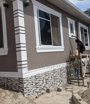 Professional Painter