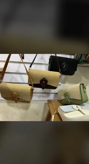Ladies Bag