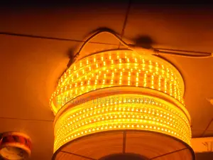 Gold Strip Light