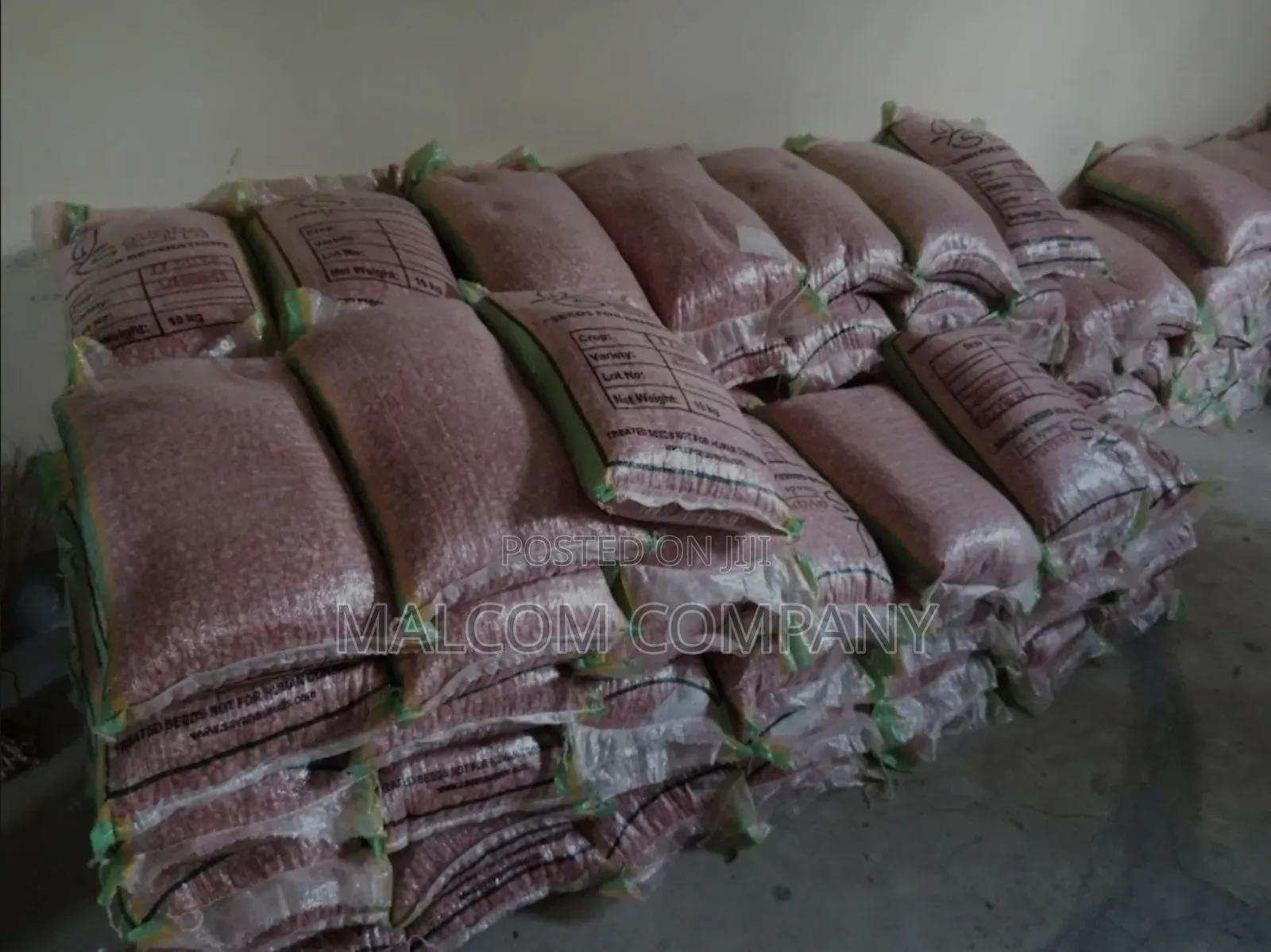 Maize Hybrid Seeds Suppliers 2kg
