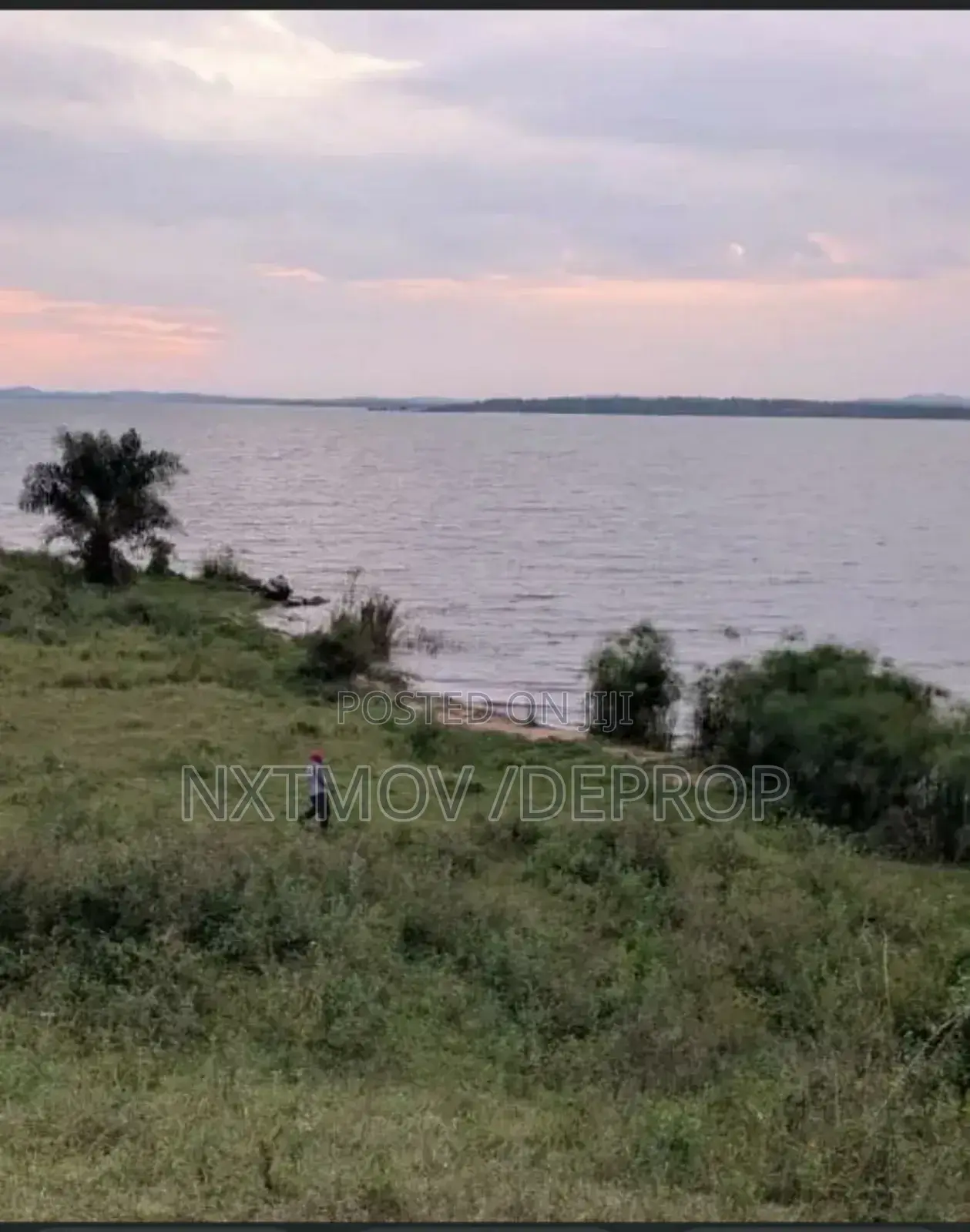 Acres of Land for Sale