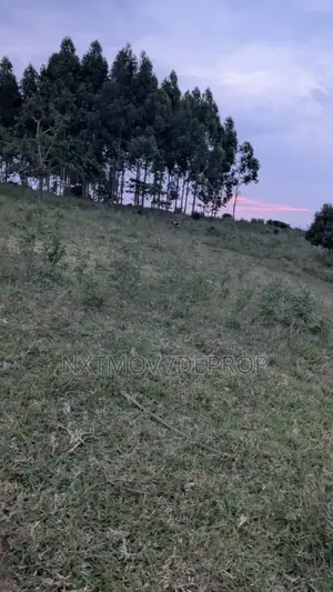 Acres of Land for Sale