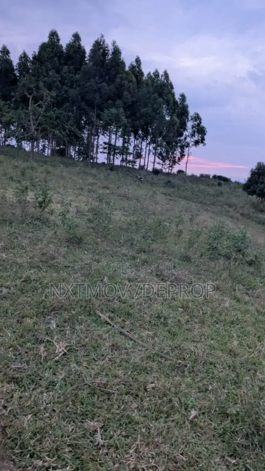 Acres of Land for Sale