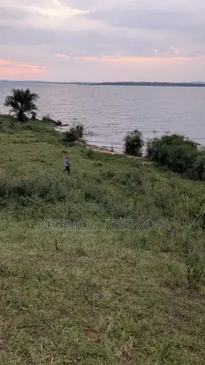 Acres of Land for Sale