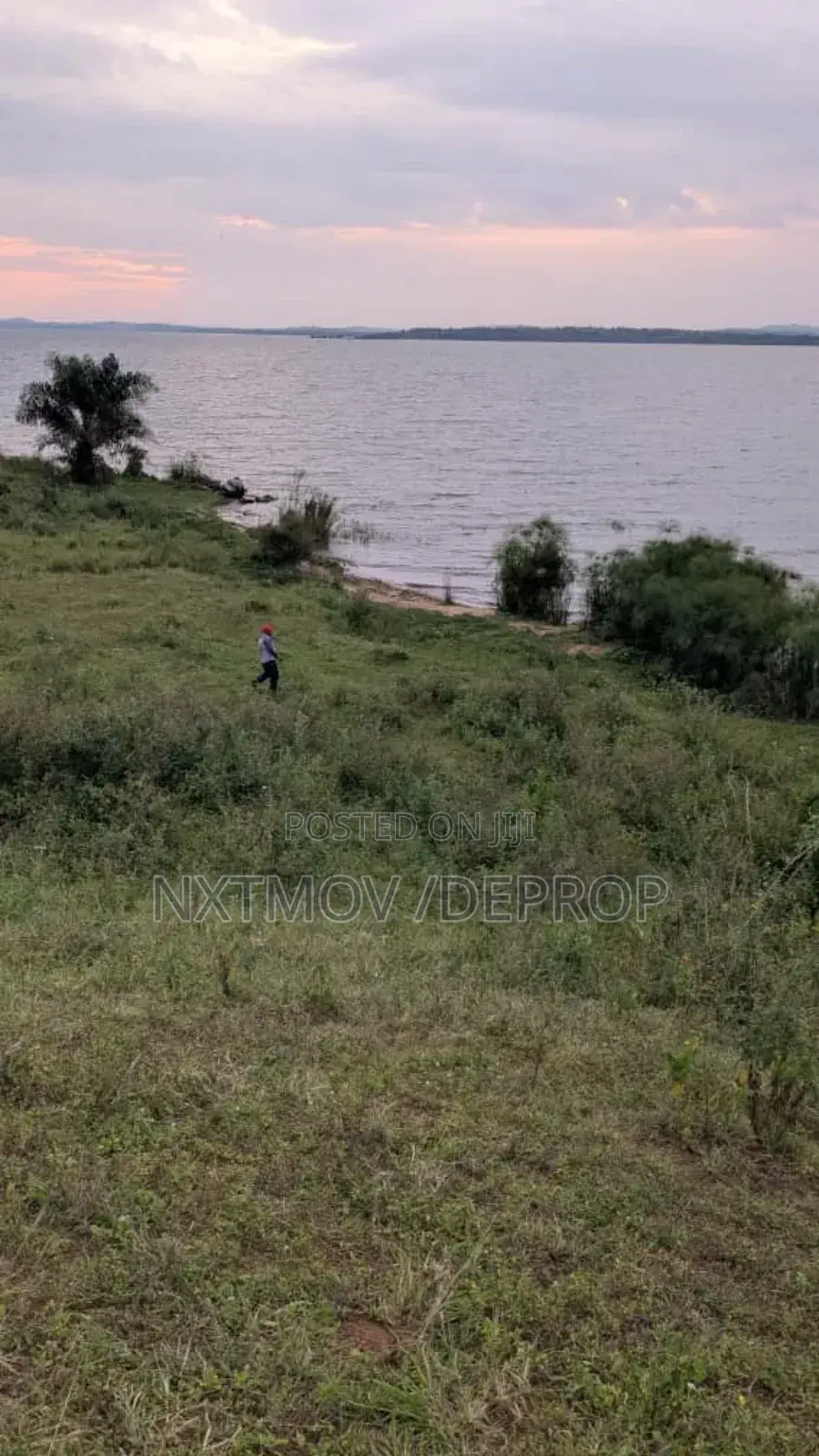 Acres of Land for Sale