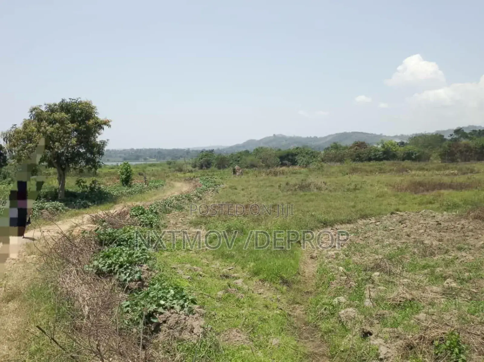 Acres of Land for Sale