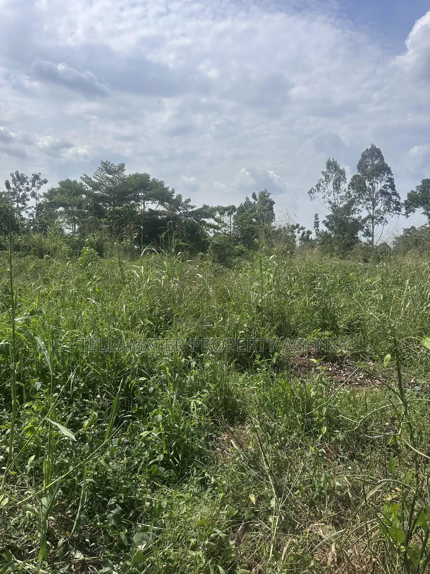 50*100ft Plots With Ready Titles for Sale at Nakifuma-Kakinzi