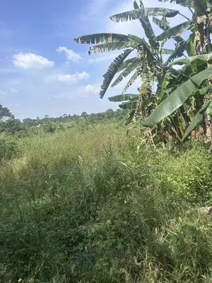 50*100ft Plots With Ready Titles for Sale at Nakifuma-Kakinzi