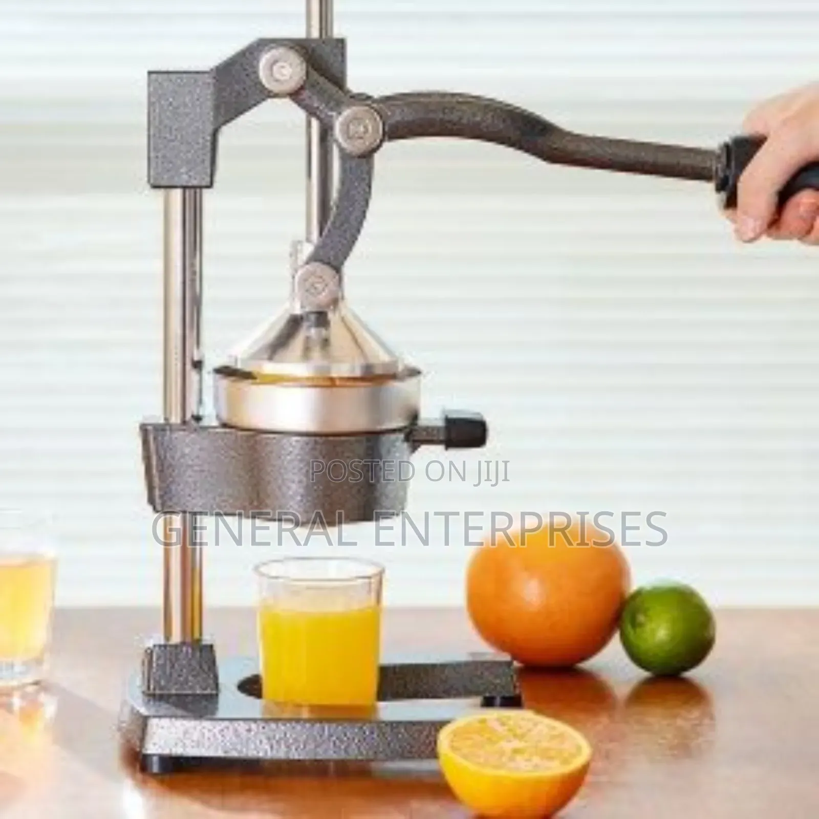 Hand Juicer Manual Press